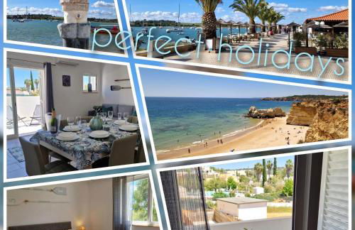 EstrelasDourada ALVOR Limoeiro - Foto 1