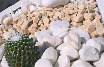 PARAISO TRANQUILIDAD VISTAS MAR y TEIDE - Foto 9