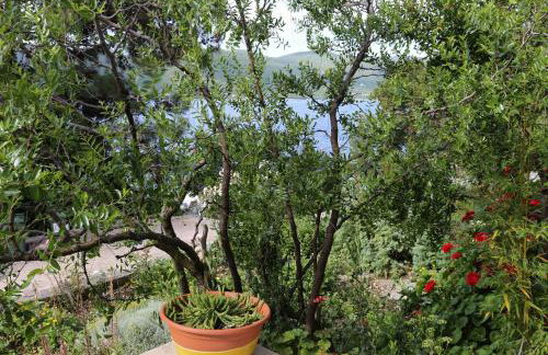 Apartments by the sea Viganj, Peljesac - 10116 - Foto 43