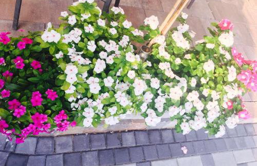 Apartment Vesna - Foto 19