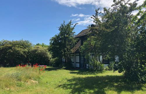 Am Achterwasser DORF 12 - Foto 49