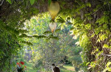 La Casa Dei Fiori - Foto 39