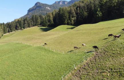 Ladinser Hof Sternenhimmel - Foto 18