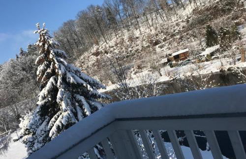 Apartment direkt an der Waldnaab - Foto 65