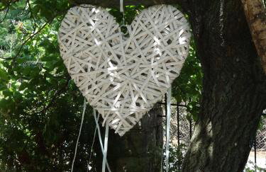 Harry's Studios - Photo 62