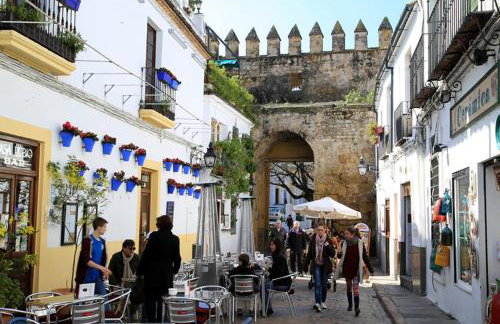 *New* Cerca de la Mezquita - Foto 65