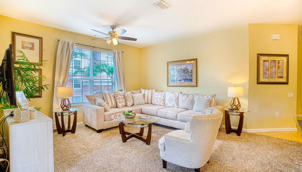 Servicios del alojamiento