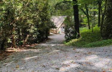 Cozy Cottage w Hot Tub, 5 min walk to Main St - Foto 27