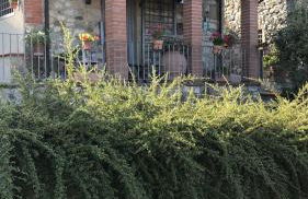 Il Borghetto di Carra - Foto 37