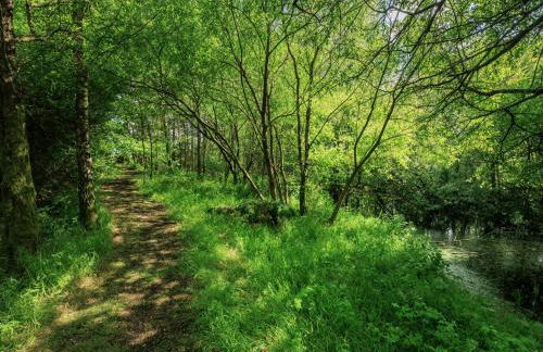 Neuadd Las - Photo 27