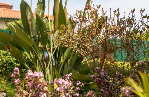 Holiday Home in Arcozelo with Private Pool - Photo 27