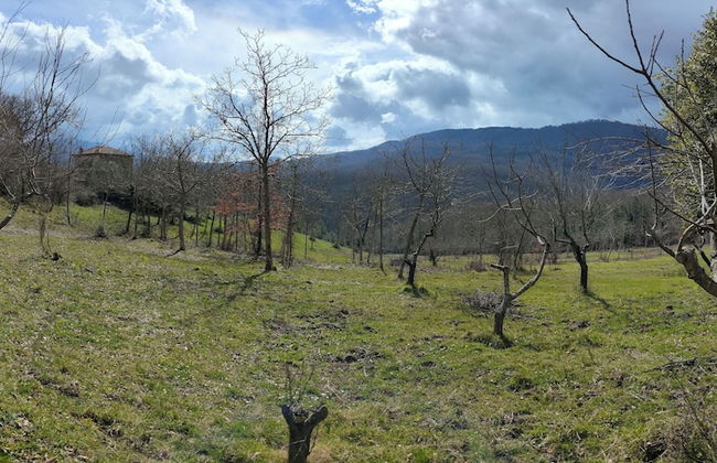 Agriturismo Li Guira - Foto 72