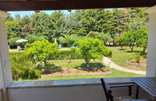 Lemontree Apartments - Foto 14