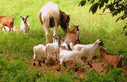 Otium Country House - Foto 153