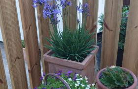 Avocet Lodge, Snettisham - Foto 14