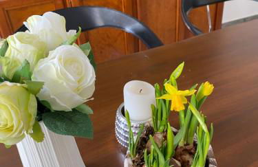 4-Zimmer-Apartment-Saarbrücken-Ost für privat und geschäftlich Reisende - Foto 12