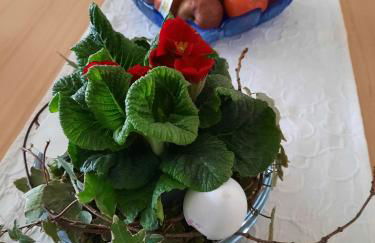 Obst- Und Ferienhof Marschall - Foto 31