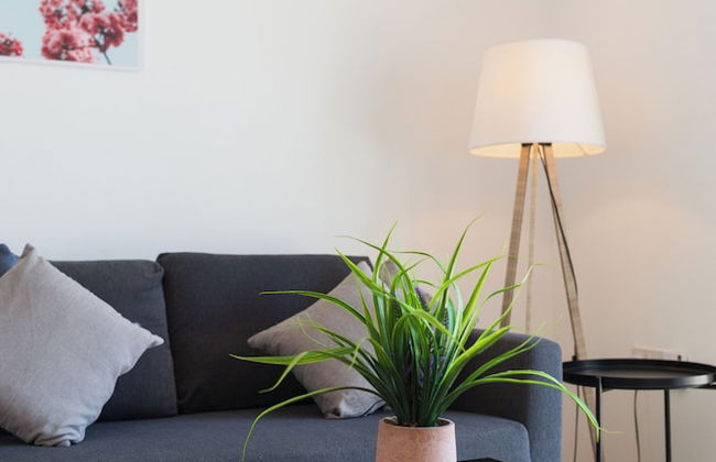 Artemis Cynthia Complex - Foto 46