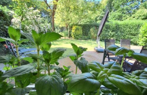 Ferienhaus Roomina - Photo 31