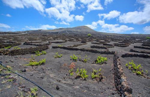 Tea-Rose Loft - Photo 19