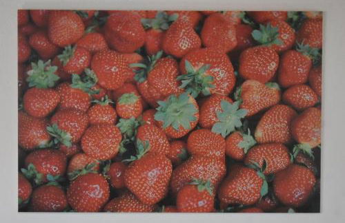 Lily's house near the beach - Photo 12