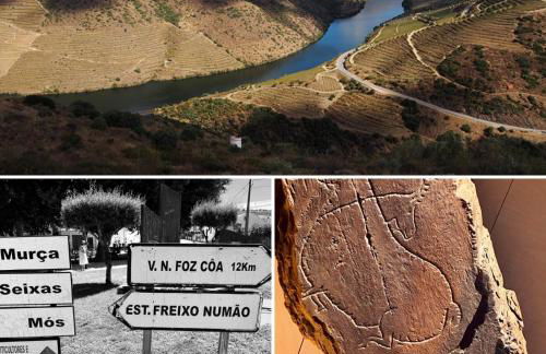 Quinta Alto da Fraga - Foto 22