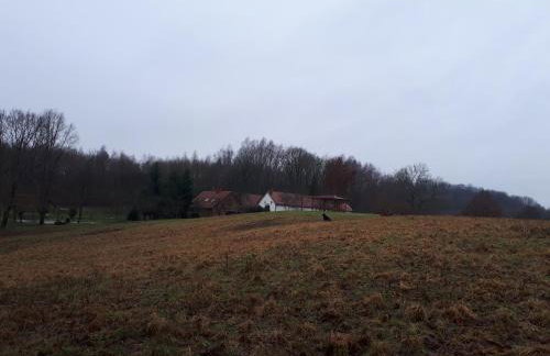 Łabądkowo - Foto 23