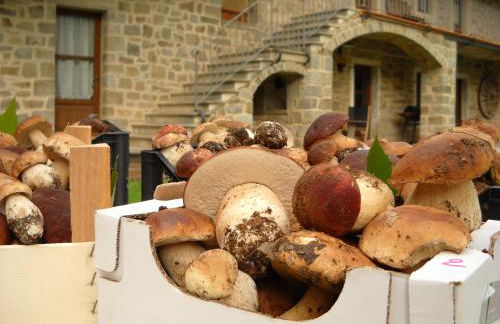 La Casa del Sarto - FedericoFarm - Foto 6