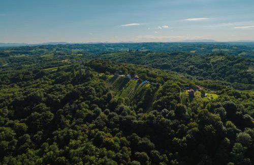 Holiday Home Wine & Relax Sveti Martin na Muri - Foto 29