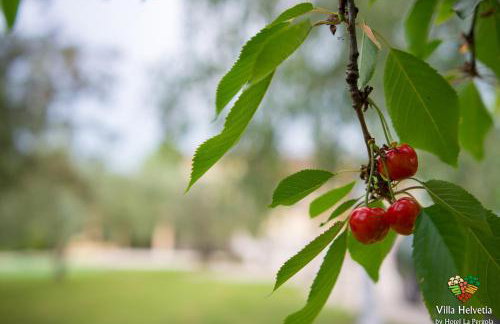 Villa Helvetia - Foto 13