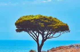 Casa Vacanza OBLÒ, la tua oasi a Lido Conchiglie - Foto 56