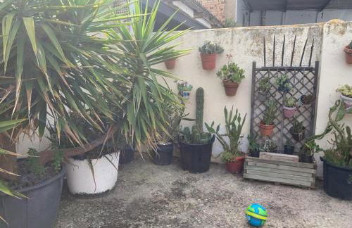 La Manguita Bardenas - Foto 10