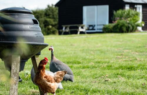 Campion Lodge - Photo 27