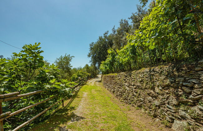 La Sperduta - Foto 29