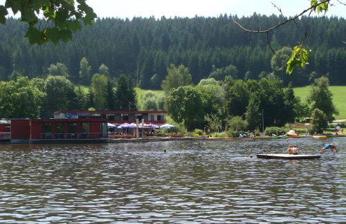 Blackforest Ferienwohnung - Foto 28