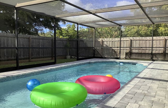 Happy Gecko - Foto 29