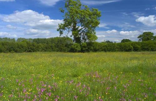 The Hideaway @ Flagham Cottage. - Foto 14