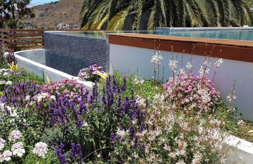 Casa Viña: a spectacular away from it all holiday - Foto 23