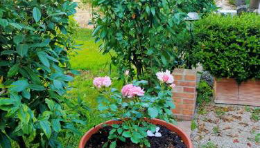 IL GIARDINO DI ATHENA - Foto 2