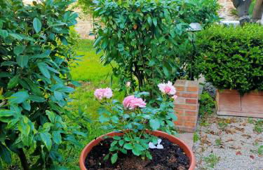 IL GIARDINO DI ATHENA - Foto 2