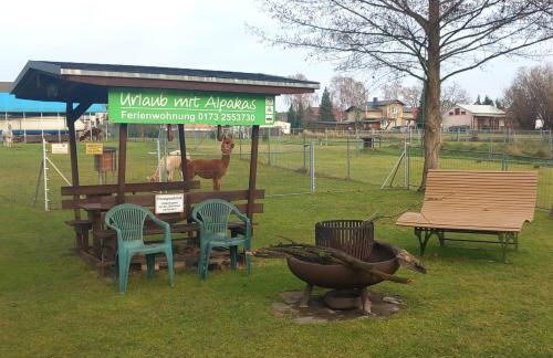 Urlaub mit Alpakas - Foto 44