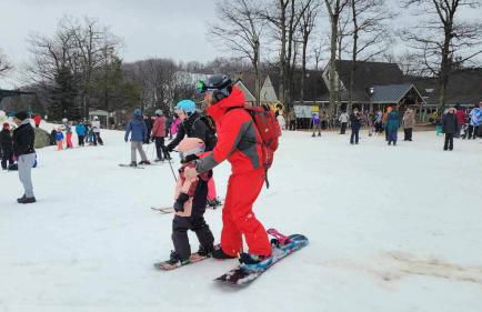 Restored 1900s Historic Home - Jonesboro, VA - Foto 35