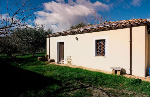 Olive grove house - Foto 2