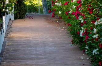 MARBELLA BANUS SUITES - Daisy Playas del Duque Banús Beach Apartment - Foto 51