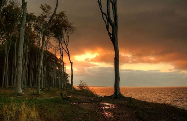 Ferienwohnung Warnemünde Adriana - Foto 19