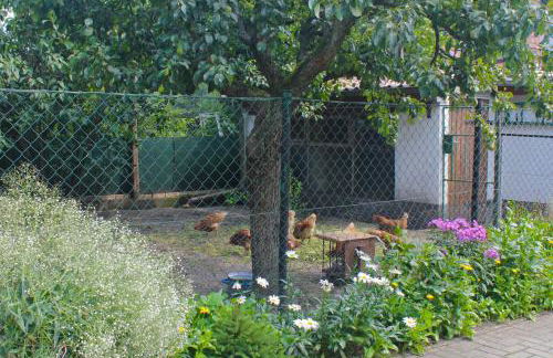 An der Hainmühle - Foto 35