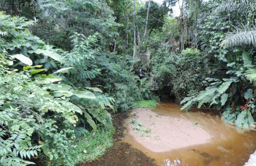 Casa Orquídeas Ubatuba Praia da Lagoinha - Foto 57