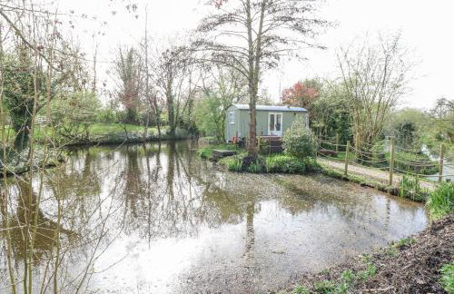 Damsel Shepherds Hut - Foto 14