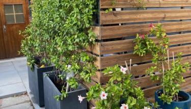 Superbe appartement, à proximité du centre d'Arles - Foto 3