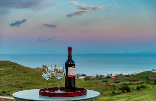 MEGAS GIALOS HARMONY - Foto 48